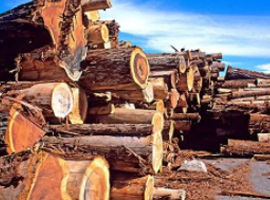 紅木家具的“5大謠言” 大家不要被騙了！